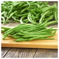 thumbnail image 5 of Everwilde Farms - 100 Blue Lake 274 Green Bush Bean Seeds - Gold Vault Jumbo Bulk Seed Packet, 5 of 5
