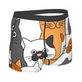 thumbnail image 3 of Bingfone Funny Cats Men'S Underwear - Casual Stretch Boxer Briefs-Small, 3 of 9