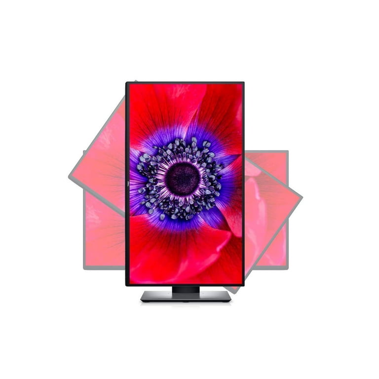 Dell UltraSharp U2520DR 25 inch LED-Backlit LCD Monitor - Black