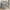 1 #:Gray, variant on Harper & Bright Designs Full Size Loft Bed with Wardrobe and Desk, Wood Loft Bed Frame with Storage Shelves and Drawers for Kids Teens Adults, Gray