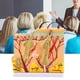 thumbnail image 5 of Modelo Ampliado de Piel Humana ANGGREK PVC Educativo 50X, 5 of 7