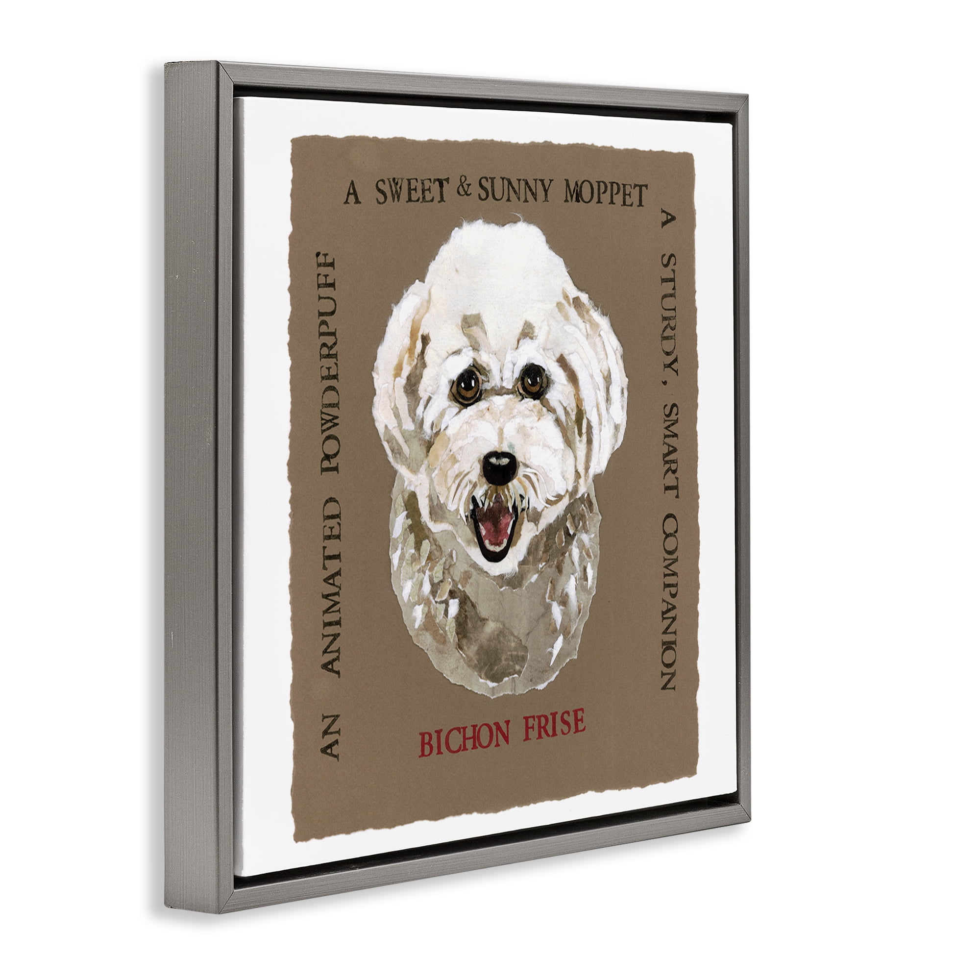 Stupell Industries Fun Bichon Frise Phrases Animals Painting Gray Floater Framed Canvas Art Print Wall Art, 25 x 25