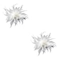 thumbnail image 1 of Jumpingount Broche de plumas para mujer, decoración para boda, Halloween, negro Type1, 1 of 1