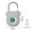 Gray, variant on Smart Fingerprint Padlock 0.5s Fast Recognition 20 Fingerprints Type-C Rechargeable Anti-Theft Lock