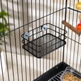 thumbnail image 4 of Stainless Steel Bird Stand Platform with Mesh Support Parrot Nesting Rack Perch for Cockatiels Parakeets Small Pet Bird Cage Accessories, 4 of 6