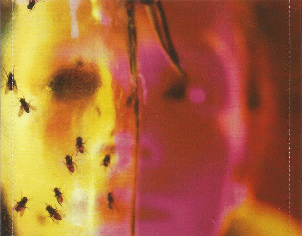 Alice in Chains - Jar of Flies - Music & Performance - CD