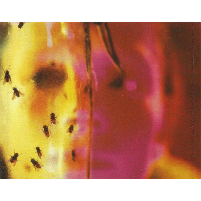 Alice in Chains - Jar of Flies - Music & Performance - CD