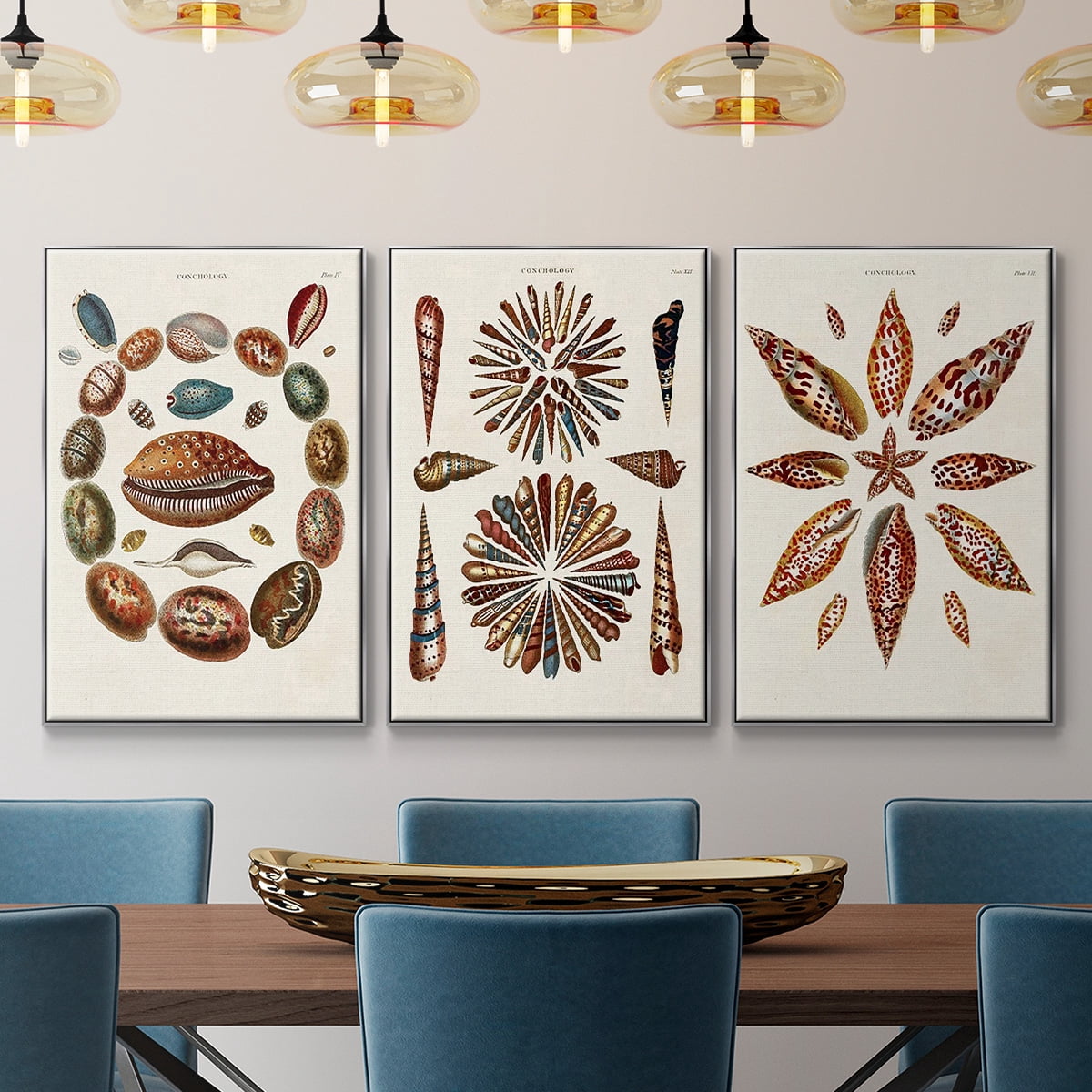 Spiral Shell Formation I - Framed Premium Gallery Wrapped Canvas L Frame 3 Piece Set - Ready to Hang