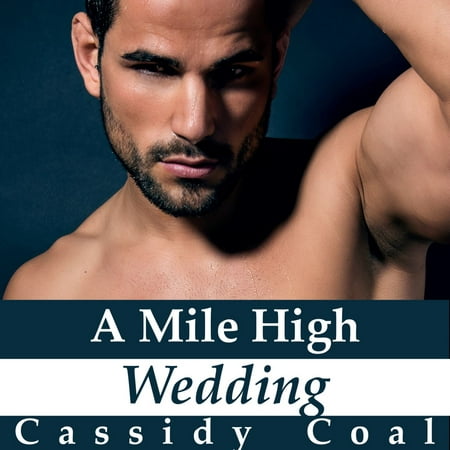 A Mile High Wedding (A Mile High Romance Book 8) -