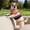 thumbnail image 5 of Dog Cat Sweater, Warm Pet Knitwear Soft Winter Clothes with Pocket, Pullover Hoodie Dog Coat for Small Medium Dogs Cats, Cold Weather Apparel, White, 5 of 6