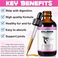 thumbnail image 6 of Oimmal Liquid Collagen for Dogs - Hip and Joint Support with MSM, Ginger - Boost Immunity for Dogs Coat & Digestive Healthy | Collagen Supplement for Dogs 4 fl oz - Bacon Flavor, 6 of 10