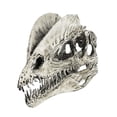 thumbnail image 2 of Juego de 2 coleccionables de Cráneo de dinosaurio Macarena resina realista Dilophosaurus Ceratosaurus, 2 of 8