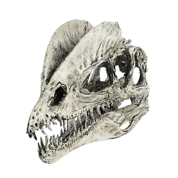 Réplica de cráneo de dinosaurio Dilophosaurus, modelo de esqueleto, adorno para acuario, color blanco
