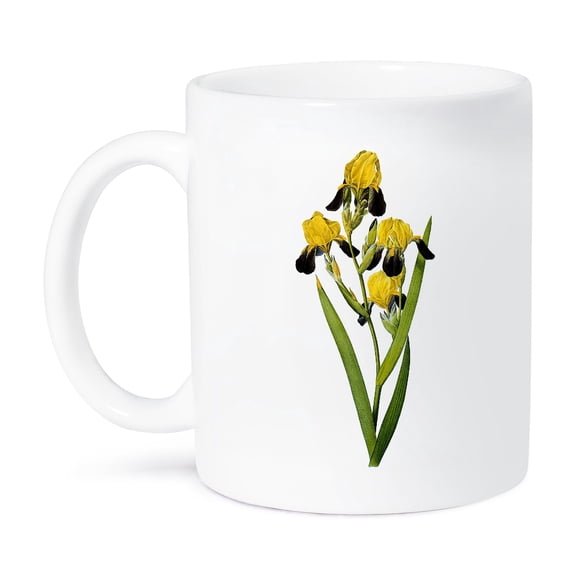 3dRose, Redoute Vintage Watercolor Floral Brown-Flowered Iris Iris Squalens, 15oz Mug