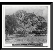 Historic Framed Print, Residence of Major R.W. Kirkham, Oakland, Alameda County, 17-7/8" x 21-7/8"