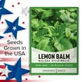 thumbnail image 7 of Lemon Balm Seeds, 7 of 7