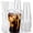 16 Oz, variant on PETGLE 25 Pack - 16 oz Plastic Cups with Lids and Straws, Clear Iced Coffee Cups with Lids, Disposable Cups with Lids for Cold Drinks, Iced Tea, Milkshakes, Smoothies - Durable & BPA Free