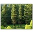 thumbnail image 1 of Picture-Tiles.com: Trees Ceramic Tile Wall Mural WAL501020-54XL. 60"W x 48"H using (20) 12" x 12" Ceramic Tiles-Satin Finish, 1 of 3