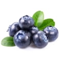 thumbnail image 5 of Placenta Life Silver Blueberry Shampoo for Gray & Bleached Hair. No more Yellowish hair. Provides Hair Platinum Tonalities. 350 ml/ 11.83 fl.oz., 5 of 6
