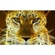 thumbnail image 1 of Taladro diamante pintura (DE2888) 5D DIY tigre completo punto de cruz bordado mosaico Kit 40x50cm Hugtrwg Para estrenar, 1 of 1