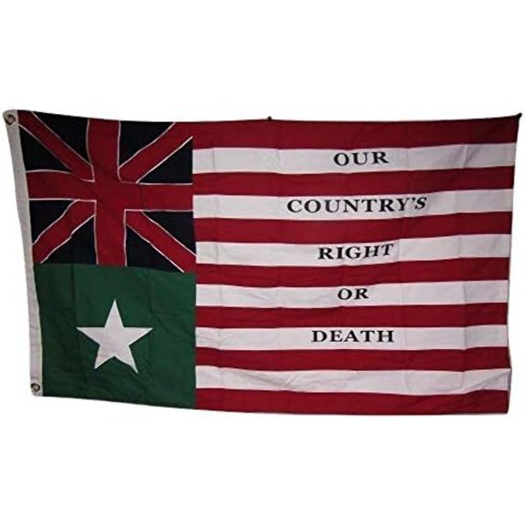 100% Cotton 3x5 Embroidered Tennessee TN State 3'x5' Flag 3 Clips