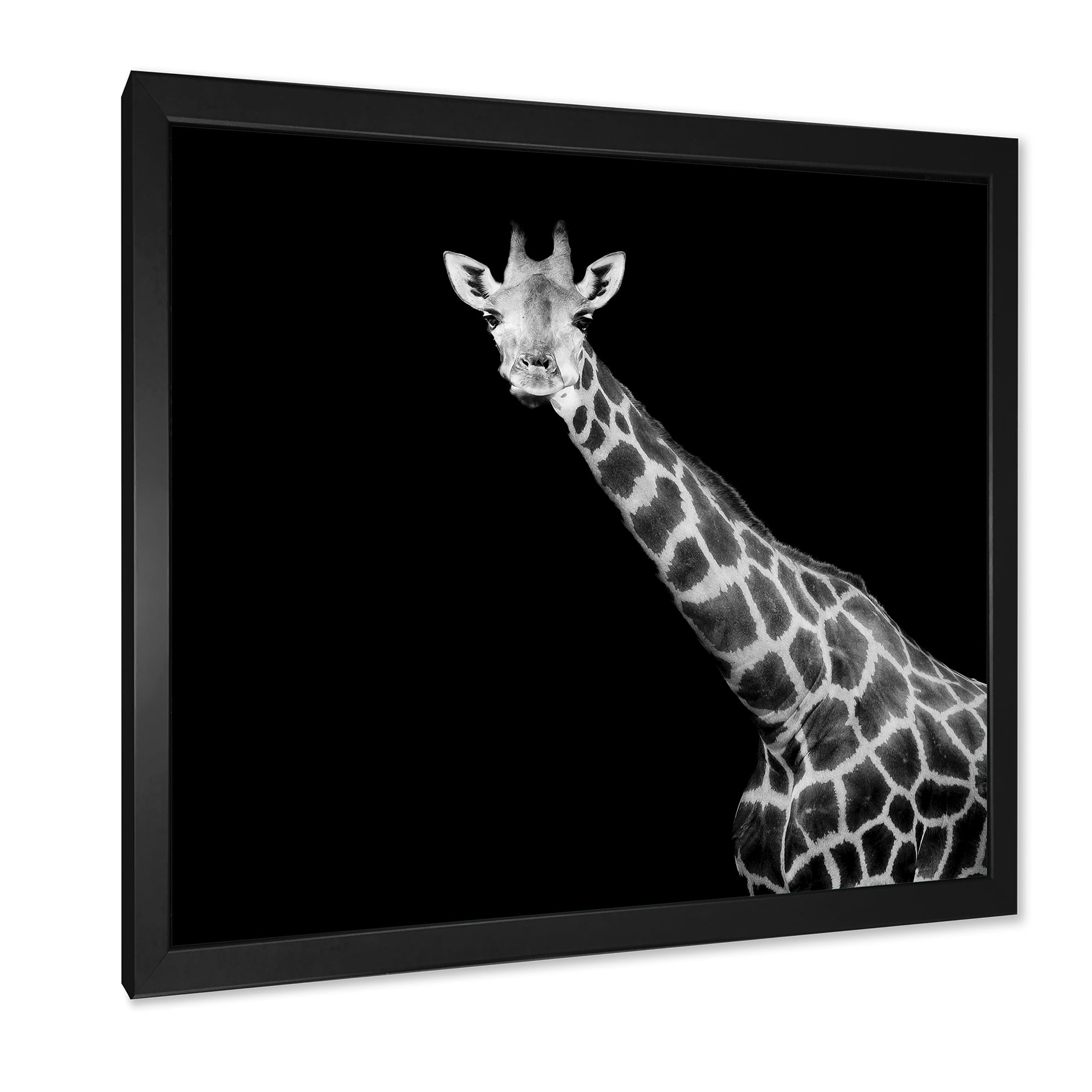 Designart 'Close Up Portrait Of A Giraffe On Black I' Farmhouse Framed Art Print