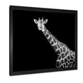 thumbnail image 2 of Designart 'Close Up Portrait Of A Giraffe On Black I' Farmhouse Framed Art Print, 2 of 4