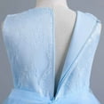 thumbnail image 3 of Edvintorg Girls Dress Party Summer Kids Children's Sleeveless Lace Bow Mesh Gauze Dresses Princess Dress for Girls 5-14 Years Vestido Infantil, 3 of 7