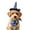 Blue, variant on Kiddiway Halloween Hat and Bandana Set – Costume Accessory for Cats and Dogs, Ideal for Halloween Decor, Parties, and Trick-or-Treat Celebrations,Black