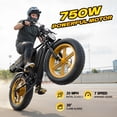 thumbnail image 4 of TST Electric Bike for Adults, 750W Motor, 48V/15Ah, 20"x4" Fat Tire E-Mountain Bike, Tested to UL2849 Standard by SGS, 4 of 11