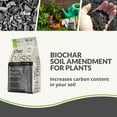 thumbnail image 4 of Plantonix Char Bliss Premium Biochar Soil Amendment 1 cu ft, 4 of 8