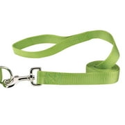 Casual Canine ZM2392 66 70 6 ft. x 1 in. Nylon Dog Leash Lead, Light Green