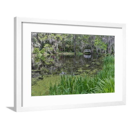 Charleston Arch - Springtime azalea blooming, Charleston, South Carolina, with white arched bridge. Framed Print Wall Art By Darrell Gulin