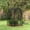 Black + Steel#486, variant on Walk-in Plant Protection Tent, 4x4 ft Crop Cage with Zippered Door and Galvanized Steel Frame, Fruit Netting Cover for Garden, Yard, Lawn, Black