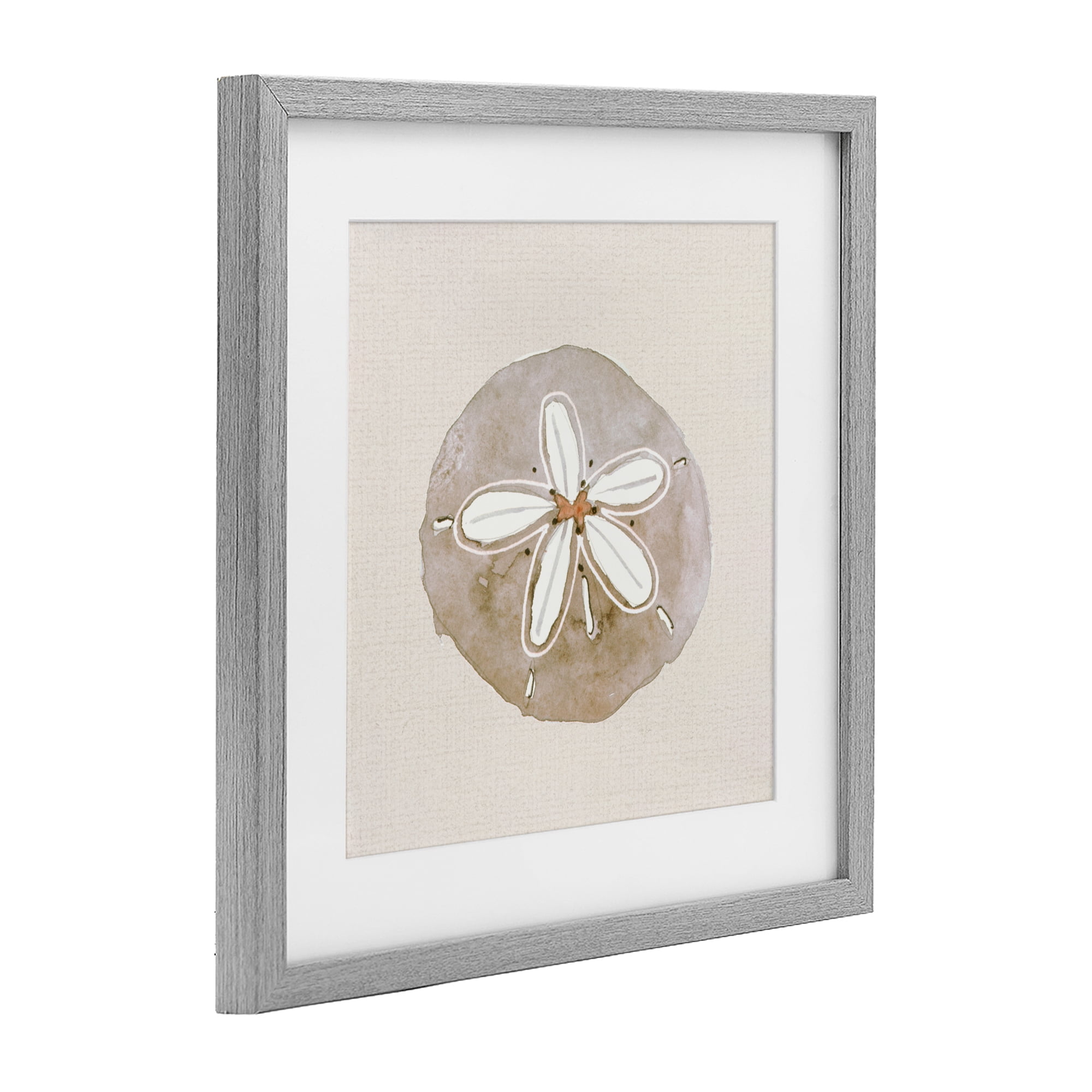 Stupell Industries Serene Beige Sand Dollar Gray Framed Print Under Glass, design by Lanie Loreth