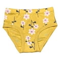 thumbnail image 4 of 3 Pack Toddler Little Girls Kids Cotton Briefs Underwear, Hipster Panties Size 2T 3T 4T 5T 6T, 4 of 4