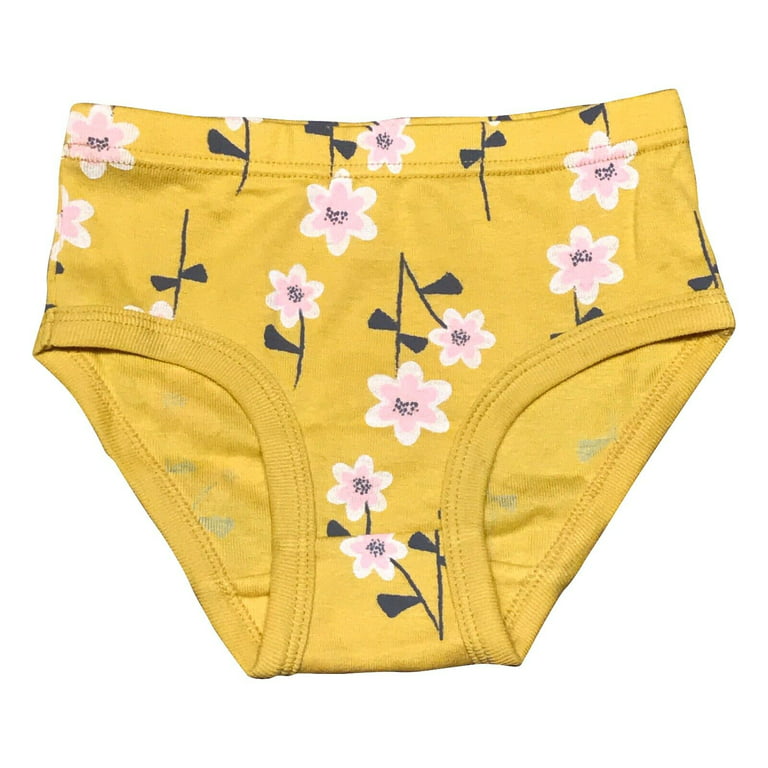 INNERSY Girls' Underwear Cotton Briefs Wide Waistband Panties for Teens 6  Pack (L(12-14 yrs), Basics)