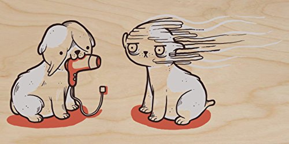 "Blow Dry" Cute Pet Humor Plywood Wood Print Poster Wall Art