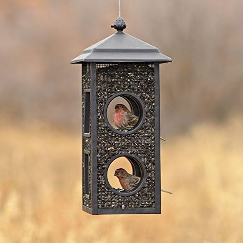 Fly-Thru Wild Bird Feeder - 2 lb Capacity for Black-Oil Sunflower Seeds - Wild Bird Feeder for Outdoors - Outdoor Decor - B00303