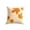 D, variant on Fall Harvest Throw Pillow Covers 18x18 Inch, Pumpkin Decorative Square Pillowcases, Farmhouse Holiday Cushion Covers for Sofa Living Room Home Fall Halloween Thanksgiving Decor