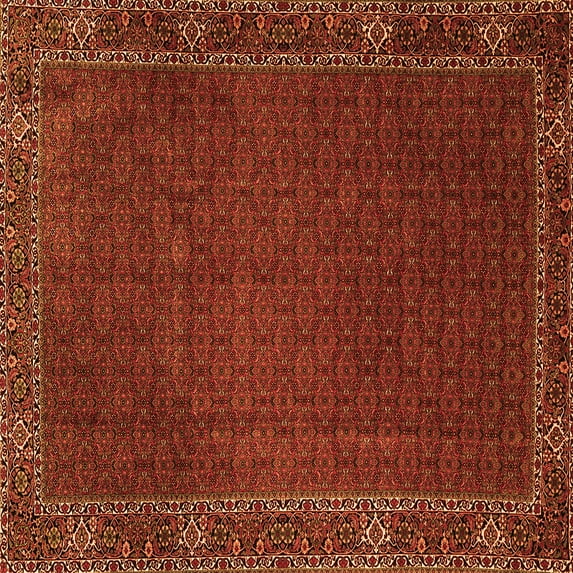 Ahgly Company Indoor Square Persian Orange Traditional Area Rugs, 7' Square