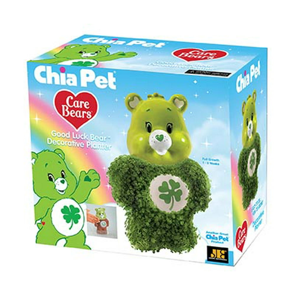 Chia Pet Care Bear Good Luck Bear Decorative Pottery Planter, Easy to