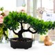 thumbnail image 3 of Árbol de bonsái artificial, planta realista, bonsái en maceta, adorno de bonsái de pino en maceta, 3 of 5