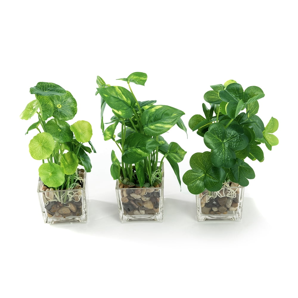 K-Cliffs 3pcs Modern Artificial Green Mini Faux Plants  in Glass Pots, Each plant- 5.7L x 5.7W x 9.3H inches; each pot- 2.7L x 2.7W x 2.6H, 1 lb