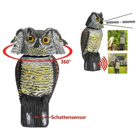 Owl Decoy 360 Rotate Head To Scare Birds Scarecrow Statue Realistic Scary Sounds Shadow Fake Outdoor Pest Bird Deter For Canada Scare Birds Scarecrow Owl Decoy Statue, Do Garden Owls Scare Birds