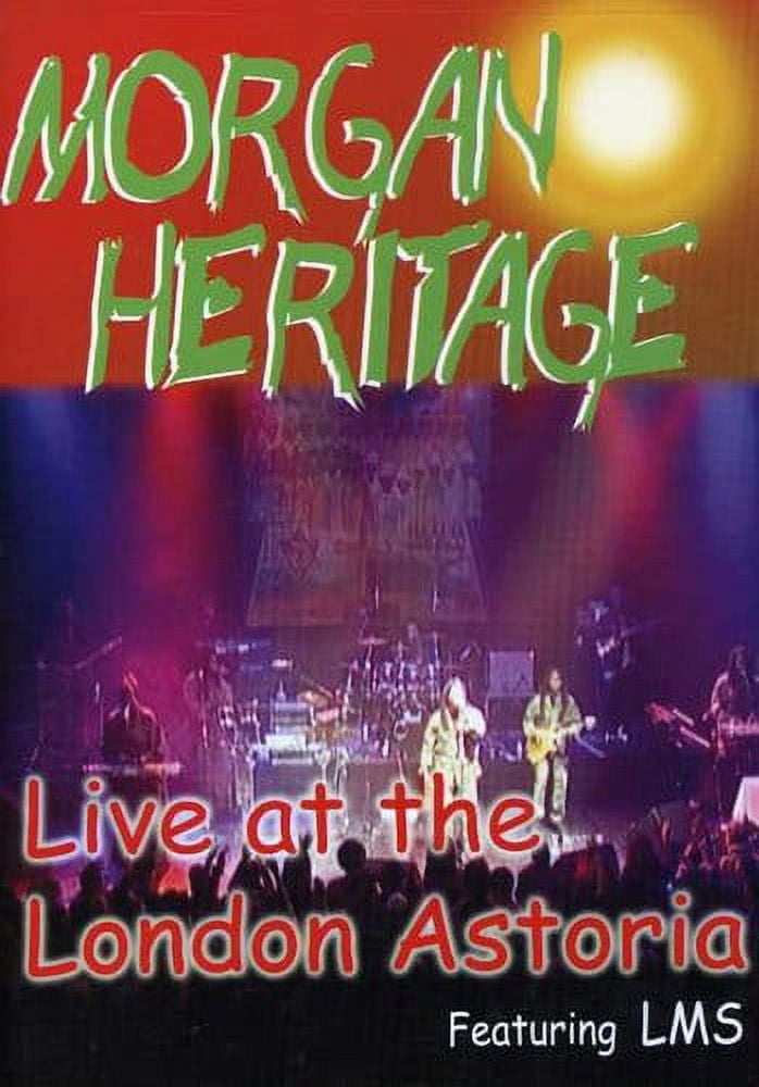 My Big Gay Jewish Conversion (DVD), MVD Visual, Documentary
