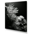thumbnail image 2 of Designart "Monochrome Coral And Anemone Realm IV" Coastal Coral Under Water Wall Art Living Room, 2 of 7