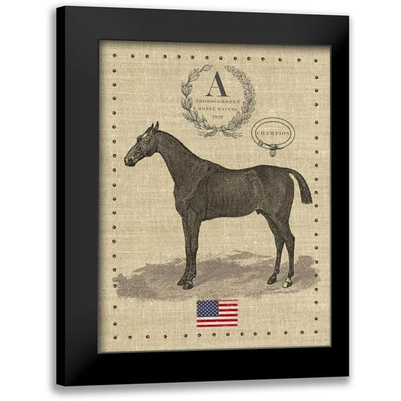 Appleman, Sam 12x14 Black Modern Framed Museum Art Print Titled - American Champion