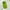Green, variant on Allytechgroup Liquid Silicone Slim Phone Case for Apple iPhone 16 Pro, Ultra Thin Camera Lens Protective Anti-Scratch Shockproof Case Cover for Women Men, Green