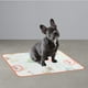 thumbnail image 5 of 2 uds almohadillas para orina de perro, alfombrillas antideslizantes para perros con gran absorción de orina, almohadillas reutilizables para orinar de cachorro para parto, orinal, entrenamiento MFZFUKR CPB-US-ZMR39-5, 5 of 5